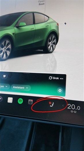 Grok Just Controlled My Tesla's Heated Seat