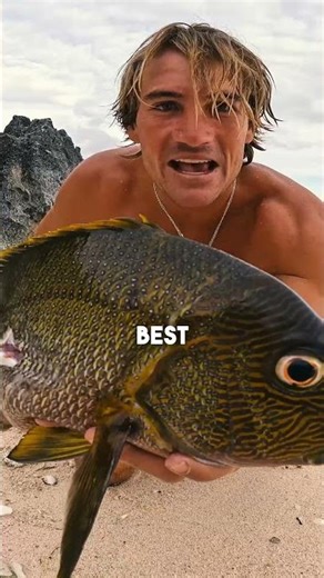 Survive This Island Or Die... (Primitive Fishing)