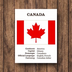 197 Country Flags Flash Cards | World Flags Printable PDF | Geography Flashcards | International | Digital Download | Flags of the World - Etsy