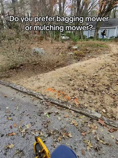 Bagging Mower vs. Mulching Mower: Which is Best?