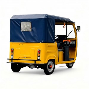 [Hot Item] Customized High Quality 60-200km Adult Electric Tuk-Tuk Perfect City Truck 8 Passenger Tricycle Price