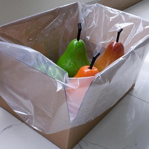 [Hot Item] Plastic Container Food Packaging Disposable Bag