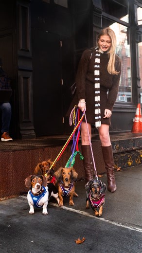 Finley, Oslo, Rusty, & Roxy – Dachshunds, Duane & Greenwich St, New York, NY • “I started with Finley; she was my OG. Then Oslo, and then Rusty – we adopted him from a shelter in Michigan. He’s blind; he is the most joyous, happy dog. I don’t think he has any idea he’s blind. And then Roxy – we got her from the same shelter in Michigan we got Rusty. We are done; we are so done. I’ve said that every year for the last three years, but we’re actually done. She (Finley) is super entitled. If I try t