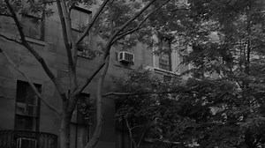 The Addiction (1995)