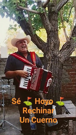 Se Hoyo Rechinar Un Cuerno