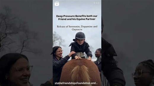 Deep Pressure Therapy: Benefits for Child and Horse