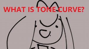 TONE CURVE TIPS