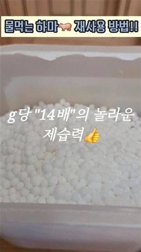 [분수남] 여름철 습도관리 곰팡이관리 물먹는하마 재사용 리필 방법 #제로웨이스트 #재사용