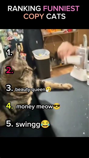 ranking funniest copy cats