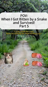 POV: When I Got Bitten by a Snake and Survived! Part 5 #CatsOnReels #fypシ | MemesInternational