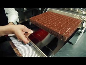 LIRA Automatic with ANTONIO BACHOUR