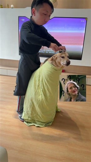 My Ugly Dog's Refund Scam: Girlfriend's Reaction! 😂 DogFail PetPrank