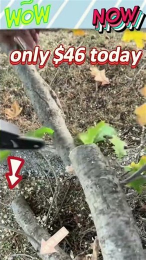 Affordable Handheld Pruning Saw: Review and Demo#pruningsaw #gardeningtools #yardwork