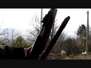 diana 52 t06 long range