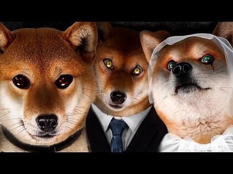 Las 5 historias más ATERRADORAS de Qué Perro Hilo!