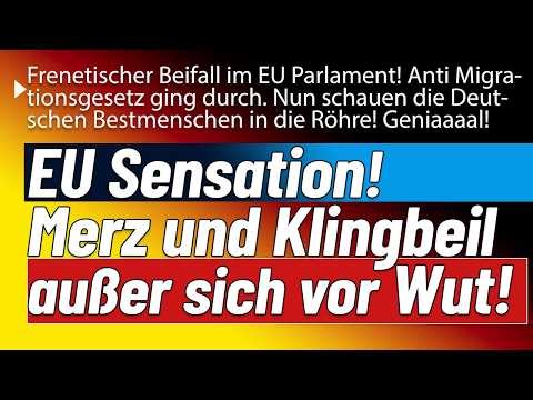 That hit home! Blue and Black EU politicians pass top legislation. Greens and SPD spew venom!