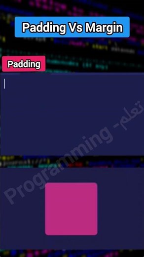 CSS padding vs margin explained in details 💻🌐