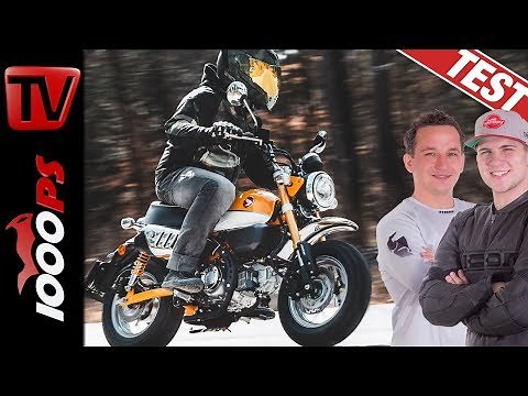 Honda Monkey 2019 - Fahrspaß garantiert! Das Funbike im Test!