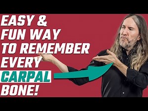 How to Remember Carpal Bones With These 8 Fun Mnemonics