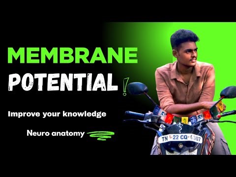 ⚡ How Nerves Work: Membrane Potential Explained 🔬