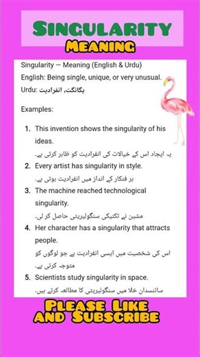 Singularity Meaning with Examples...