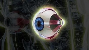 clip-1111516301-4k-3d-anatomical-model-woman-eye