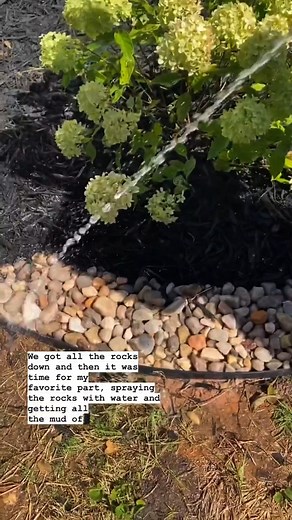 @athomewithbae gives their yard a full landscape makeover, turning it into a fresh, inviting space. #diy #landscaping #yardwork #outdoorprojects #familyhandyman | Family Handyman