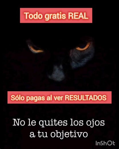 Mariela Gauna on Instagram: "Para aprovechar esta oferta hay una condición exclusiva: contacta por telegram: 604319191 Si no tienes te lo descargas en Apple store o Google Play Es gratis simple y mejor que WhatsApp Tarot astrología videncia medium rituales amarres endulzamientos limpiezas energéticas corte de brujería abre caminos"