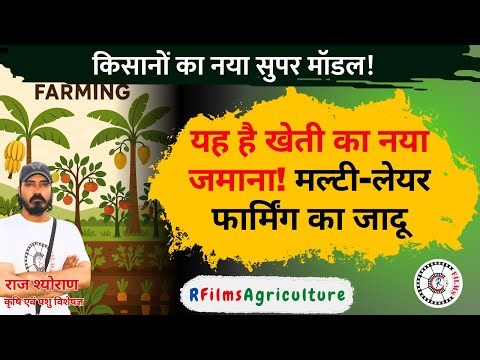 Don’t Miss This! Multi-Layer Farming Explained in the Easiest Way