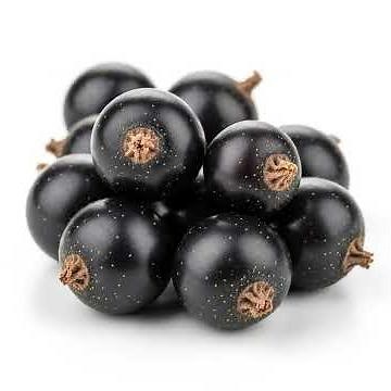 Blackcurrant — What It Is, How It Tastes, Why Try It