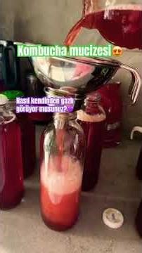 KOMBUCHA MUCİZESİ | Çay Sirkesi nasıl yapılır?