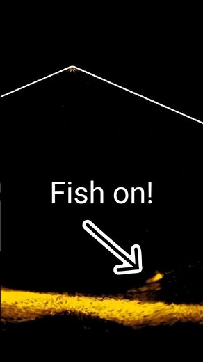 Active Target 2 - Winter Bass Jigging