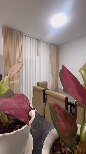 30K views · 236 reactions | Thank you client no. 115 from San Rafael , Bulacan for trusting Roville curtains and blinds by Billy Toledo #homeimprovements #curtains #sfoldcurtains #curtainsandblinds #curtainstyle #Windows #homebuddies #housetour #Bulacan | Billy Toledo vlog | Facebook