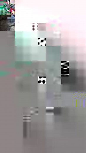 9.7K views · 116 reactions | These green monkeys call Barbados home. If you want to catch them in a peaceful environment visit the mahogany tree filled forest of the Barbados Wild Life Reserve, located in the northern parish of St. Peter. : @relaxnrelate, thanks for sharing! #VisitBarbados #LoveBarbados #MyBarbados | Visit Barbados | Facebook