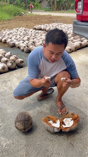 Tacunan vs Catigan alin ang mas makapal ang laman🥥🥥🥥 🥥 Tacunan Green Dwarf – known for its sweet coconut water, early fruiting (3–4 years), and high yield. Perfect for both buko and copra production! 🥥 Catigan Green Dwarf – loved for its uniform fruiting, compact size, and tender buko meat that’s perfect for fresh market demand. Ideal for small farms and backyard growers. Both are legit, disease-resistant, and proven performers under Philippine conditions! 💪🇵🇭 📍 Grow smarter, not harder
