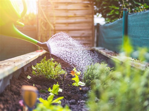 Low‑Cost Gardening Projects To Give Your Garden A Boost - Bunnings Australia