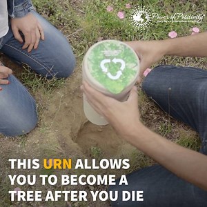 Cool, I might actually do this! | Power of Positivity