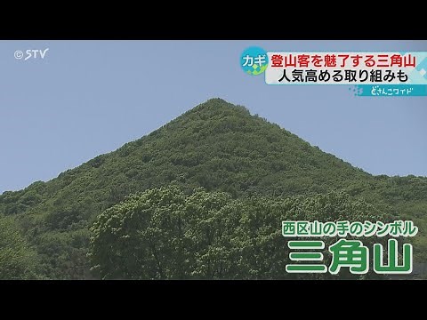 登山客を魅了する三角山 ３５０種類もの植物 山頂から札幌の街並みを一望 健康づくりにも一役