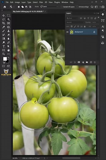 504K views · 9.5K reactions | How to Change the Color of Anything in Adobe Photoshop | Big Smile Editing | Facebook
