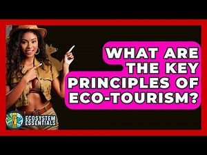 What Are the Key Principles of Eco-Tourism? - Ecosystem Essentials