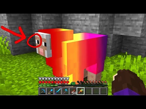 I TRAPPED ALL THE RAREST MOBS IN MINECRAFT