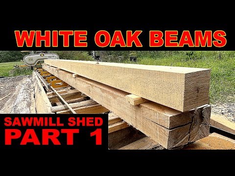 Building a Timber Frame Sawmill Shed (Part 1): Milling Posts & Beams
