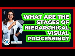 What Are The Stages Of Hierarchical Visual Processing?