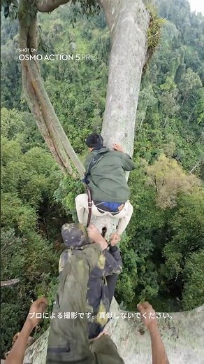 心臓バクバク❗️限界高さチャレンジ、高所恐怖症注意💥。