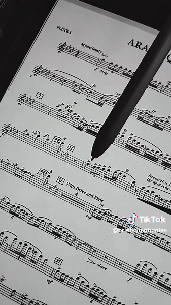 Arabesque: Samuel R. Hazo Flute Solo Performance