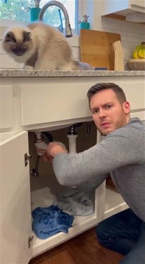 DIY Disaster: Kitchen Flood & Cat Chaos!
