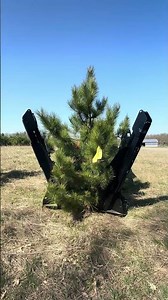 Skid Steer Tree Spade –