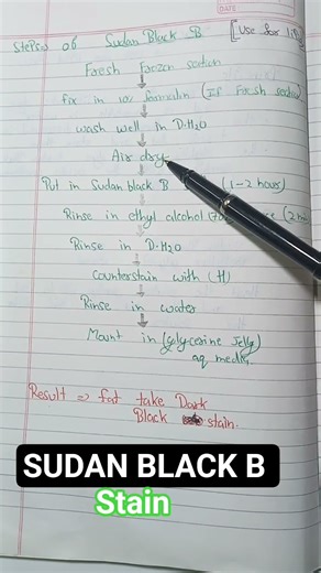 Sudan black b stain used in histopathology #hematopathology #hemepath