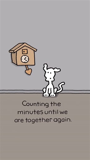 Chippy the Dog on Instagram: "#chippythedog #iloveyou #dog #dogs #chippy"