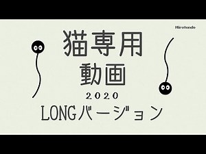 Video for cats 2020 cat game for cat A slightly longer version